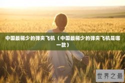 中国最稀少的弹夹飞机（中国最稀少的弹夹飞机是哪一款）