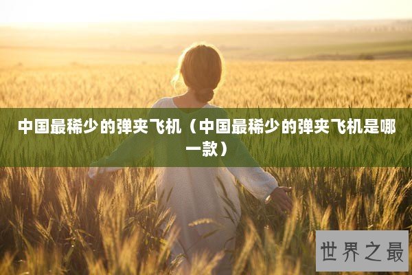 中国最稀少的弹夹飞机（中国最稀少的弹夹飞机是哪一款）