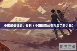 中国最值钱的小专利（中国最贵的专利卖了多少钱）