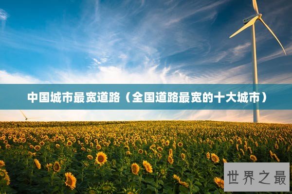中国城市最宽道路（全国道路最宽的十大城市）