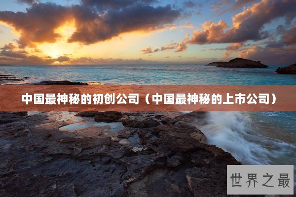 中国最神秘的初创公司（中国最神秘的上市公司）