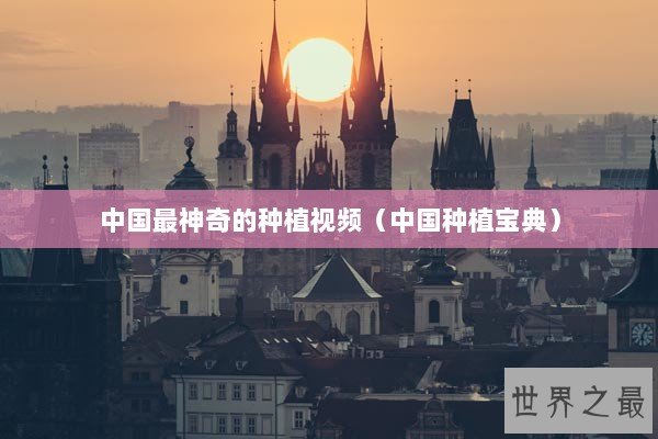 中国最神奇的种植视频（中国种植宝典）