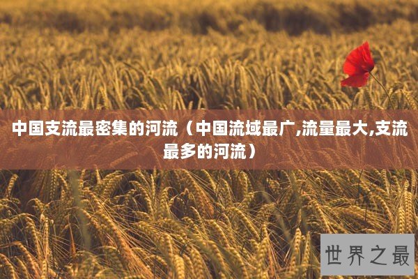 中国支流最密集的河流（中国流域最广,流量最大,支流最多的河流）