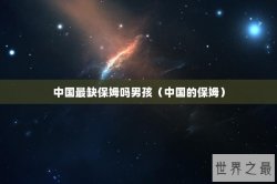 中国最缺保姆吗男孩（中国的保姆）