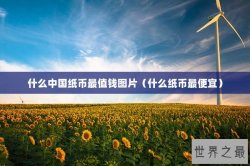 什么中国纸币最值钱图片（什么纸币最便宜）