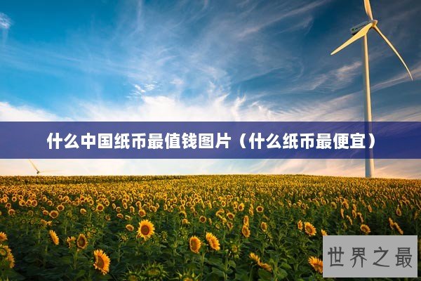 什么中国纸币最值钱图片（什么纸币最便宜）