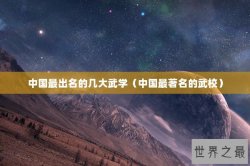 中国最出名的几大武学（中国最著名的武校）