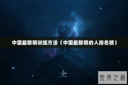 中国最聪明训练方法（中国最聪明的人排名榜）