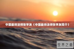 中国最帅法师张学友（中国最帅法师张学友简介）