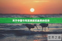 关于中国今年足球颁奖最黑的信息