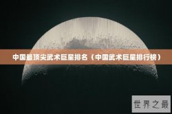 中国最顶尖武术巨星排名（中国武术巨星排行榜）