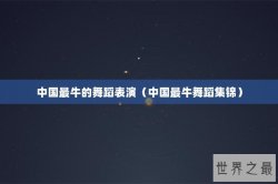 中国最牛的舞蹈表演（中国最牛舞蹈集锦）