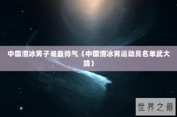 中国滑冰男子谁最帅气（中国滑冰男运动员名单武大靖）