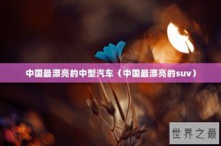 中国最漂亮的中型汽车（中国最漂亮的suv）