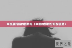 中国最残酷的狼群是（中国的狼群分布在哪里）