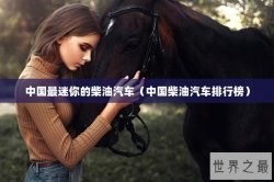 中国最迷你的柴油汽车（中国柴油汽车排行榜）