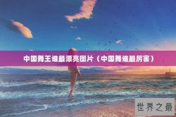 中国舞王谁最漂亮图片（中国舞谁最厉害）