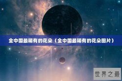 全中国最稀有的花朵（全中国最稀有的花朵图片）