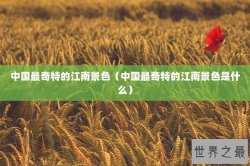 中国最奇特的江南景色（中国最奇特的江南景色是什么）
