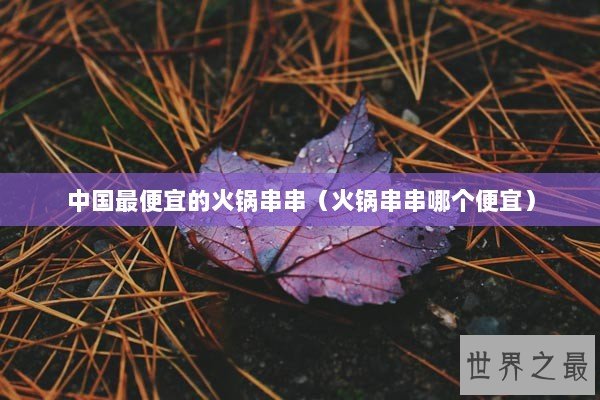 中国最便宜的火锅串串（火锅串串哪个便宜）