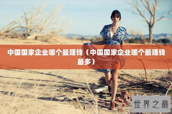 中国国家企业哪个最赚钱（中国国家企业哪个最赚钱最多）