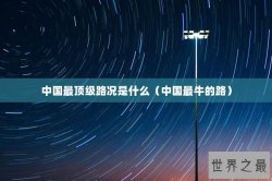 中国最顶级路况是什么（中国最牛的路）