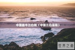 中国最牛三白瓶（中国三白是指）