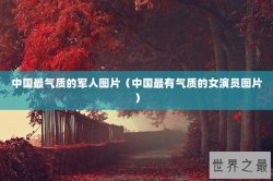 中国最气质的军人图片（中国最有气质的女演员图片）
