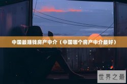 中国最赚钱房产中介（中国哪个房产中介最好）