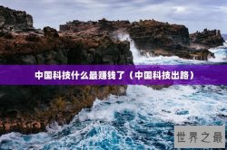 中国科技什么最赚钱了（中国科技出路）