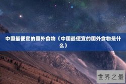 中国最便宜的国外食物（中国最便宜的国外食物是什么）