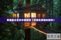 美国最出名的中国模特（中国在美国的模特）