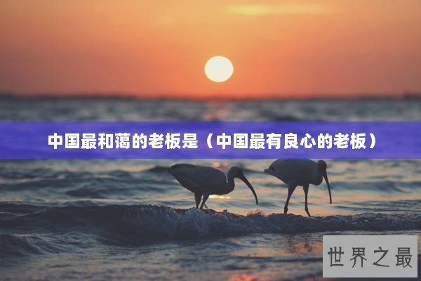 中国最和蔼的老板是（中国最有良心的老板）