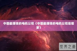 中国最赚钱的电机公司（中国最赚钱的电机公司是哪家）