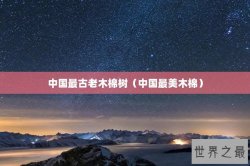 中国最古老木棉树（中国最美木棉）