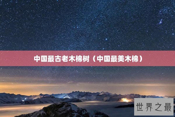 中国最古老木棉树（中国最美木棉）