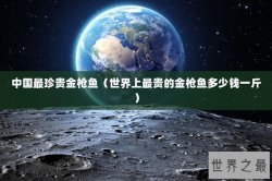 中国最珍贵金枪鱼（世界上最贵的金枪鱼多少钱一斤）