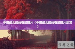中国最北端的夜景图片（中国最北端的夜景图片欣赏）