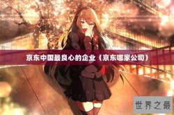 京东中国最良心的企业（京东哪家公司）