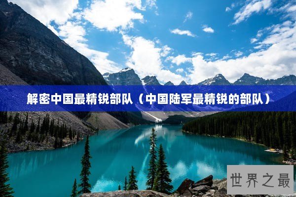 解密中国最精锐部队（中国陆军最精锐的部队）