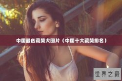中国最凶藏獒犬图片（中国十大藏獒排名）