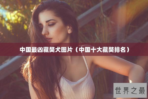 中国最凶藏獒犬图片（中国十大藏獒排名）