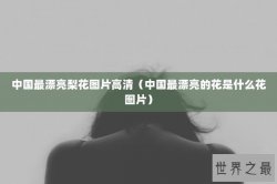 中国最漂亮梨花图片高清（中国最漂亮的花是什么花图片）