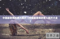 中国最敬佩的老人图片（中国最敬佩的老人图片大全）