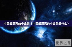 中国最漂亮的小金条（中国最漂亮的小金条是什么）