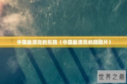 中国最漂亮的东路（中国最漂亮的路图片）