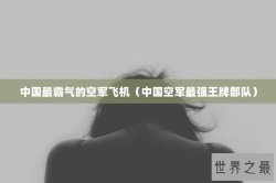 中国最霸气的空军飞机（中国空军最强王牌部队）
