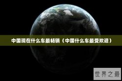 中国现在什么车最畅销（中国什么车最受欢迎）