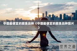 中国最便宜的鲫鱼品种（中国最便宜的鲫鱼品种图片）