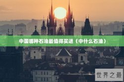 中国哪种石油最值得买进（中什么石油）